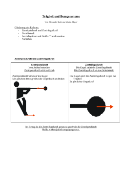 Referat Wiederholung Trägheit und Bezugssysteme