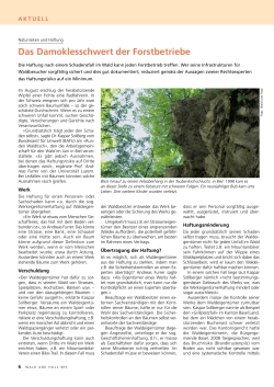 Artikel in der Zeitschrift «Wald und Holz