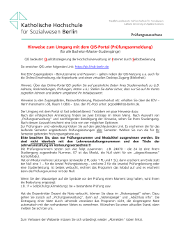 allgem. Hinweise zum Umgang mit QIS