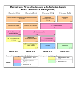 Makrostruktur für den Studiengang M.Sc.Technikpädagogik Profil C