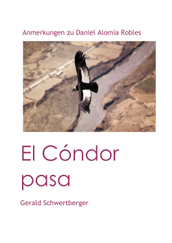 über EL CONDOR PASA - Gerald Schwertberger