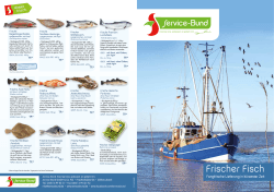 Frischer Fisch - Service-Bund