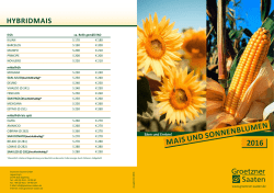mais und sonnenblumen - Groetzner Saaten &bull; Startseite