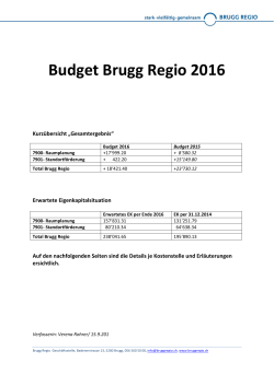 Budget Brugg Regio 2016
