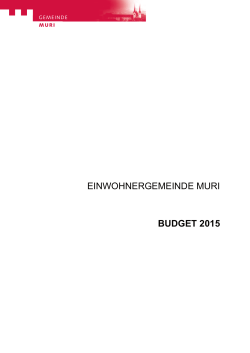 budget 2015 - Gemeinde Muri