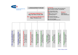 Organigramm AMS Steiermark