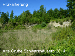 Pilzkartierung Alte Grube Schwarzhäusern 2014