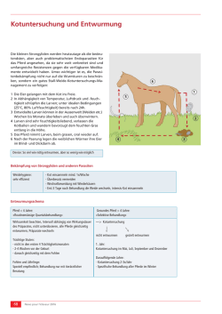 Kotuntersuchung und Entwurmung