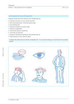 Handouts &bdquo;Schlaganfall&ldquo;