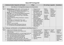 Basis-SOP Schlaganfall