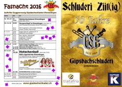 Festf&uuml;hrer - Gipsbachschluderi Ehrendingen