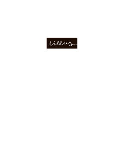 Katalog Lillus Sportstyle Lounge Sessel