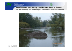 Vortrag 4 Gewässerrenaturierung der unteren Eder in Fritzlar mit der