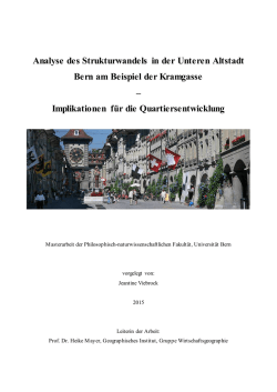 Analyse des Strukturwandels in der Unteren Altstadt Bern am