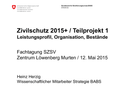Zivilschutz 2015+ / Teilprojekt 1: Leistungsprofil