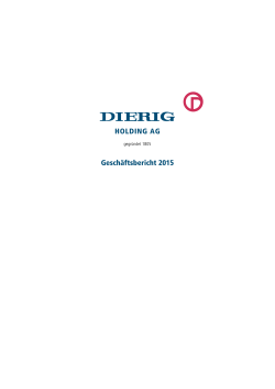 HOLDING AG Geschäftsbericht 2015