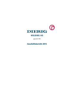 HOLDING AG Gesch&auml;ftsbericht 2015