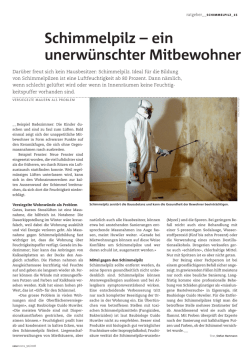 Schimmelpilz &ndash; ein unerw&uuml;nschter Mitbewohner
