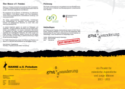 ein Projekt f&uuml;r m&auml;nnliche Jugendliche und junge M&auml;nner 2011