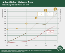 Anbauflächen Mais und Raps