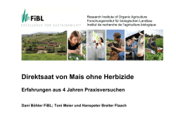 Direktsaat von Mais ohne Herbizide