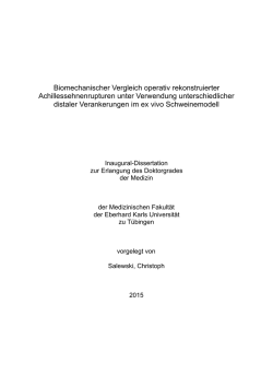 Dissertation Christoph Salewski