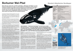 Borkumer Wal-Pfad - Borkum