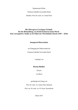 Inaugural-Dissertation Dorian Bindler