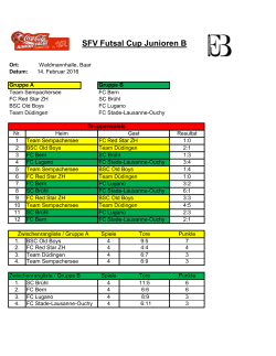 SFV Futsal Cup Junioren B