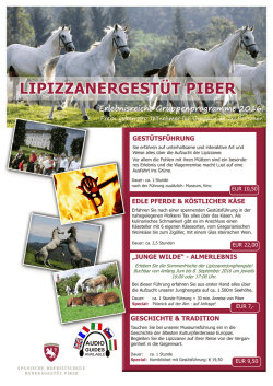 gruppenangebote - Spanische Hofreitschule