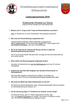 Leistungsnachweis 2016 Ergänzende Hinweise zur Übung