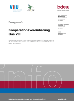 Energie-Info Kooperationsvereinbarung Gas VIII