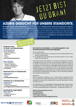 Jetzt bist du dran! - Schmidt