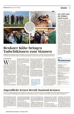 Jugendliche lernen Berufe hautnah kennen (738 kB, PDF)