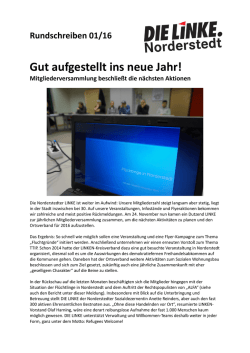 Gut aufgestellt ins neue Jahr! - DIE LINKE. Kreisverband Segeberg