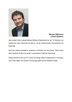 Michael Wittmann | David Systems Nach seinem Abitur studierte
