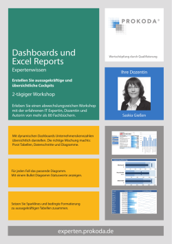 Dashboards und Excel Reports