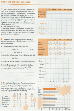 Ordnen und Darstellen von Zahlen
