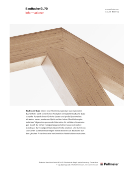 Tr&auml;ger BauBuche GL70 Produktinformation pdf