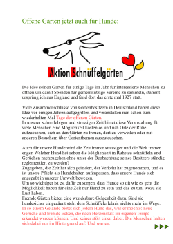 erfahren Sie mehr... - Hundeschule Hogendorf