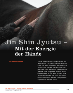 Jin Shin Jyutsu - Kinesiologische Osteopathie f&uuml;r Pferde & Hunde