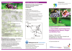 Einstiegsseminar Bienen, Fliegen und ähnliche Tiere