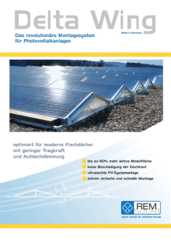 Delta Wing - IES - International Energy Solutions