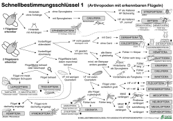 Schnellbestimmungsschlüssel für ausgesuchte - NaWi
