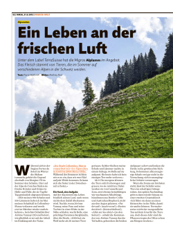 Hauptausgabe - Migros
