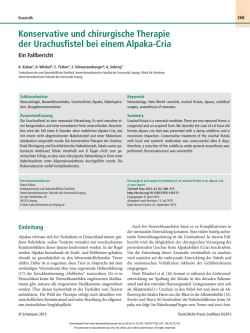 Konservative und chirurgische Therapie der Urachusfistel bei einem