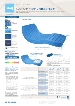 P161M / Technisches Datenblatt