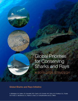 Global Priorities for Conserving Sharks and Rays: A 2015