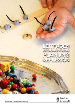 Leitfaden Beobachtung - Planung - Reflexion