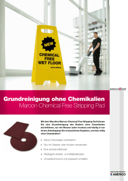 Grundreinigung ohne Chemikalien Maroon Chemical Free Stripping